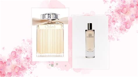 chloe perfume zara dupe|chloe signature dupe price.